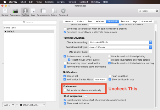 Disabling locale setup on startup - iTerm2