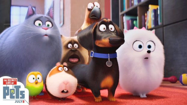 The Secret Life of Pets (2016)